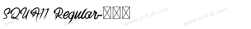 SQUA11 Regular字体转换